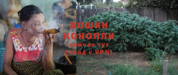 гашик Вяземский